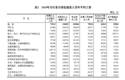 2019年全國規(guī)上企業(yè)就業(yè)人員年平均工資增長10%，軟件和信息技術(shù)服務(wù)業(yè)投資與管理成亮點(diǎn)
